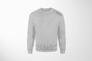 Sweat-shirt gris