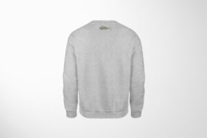 Sweat-shirt gris